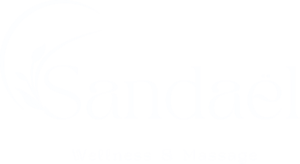 cropped logo blanc.png